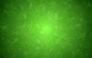 green-wallpaper-6